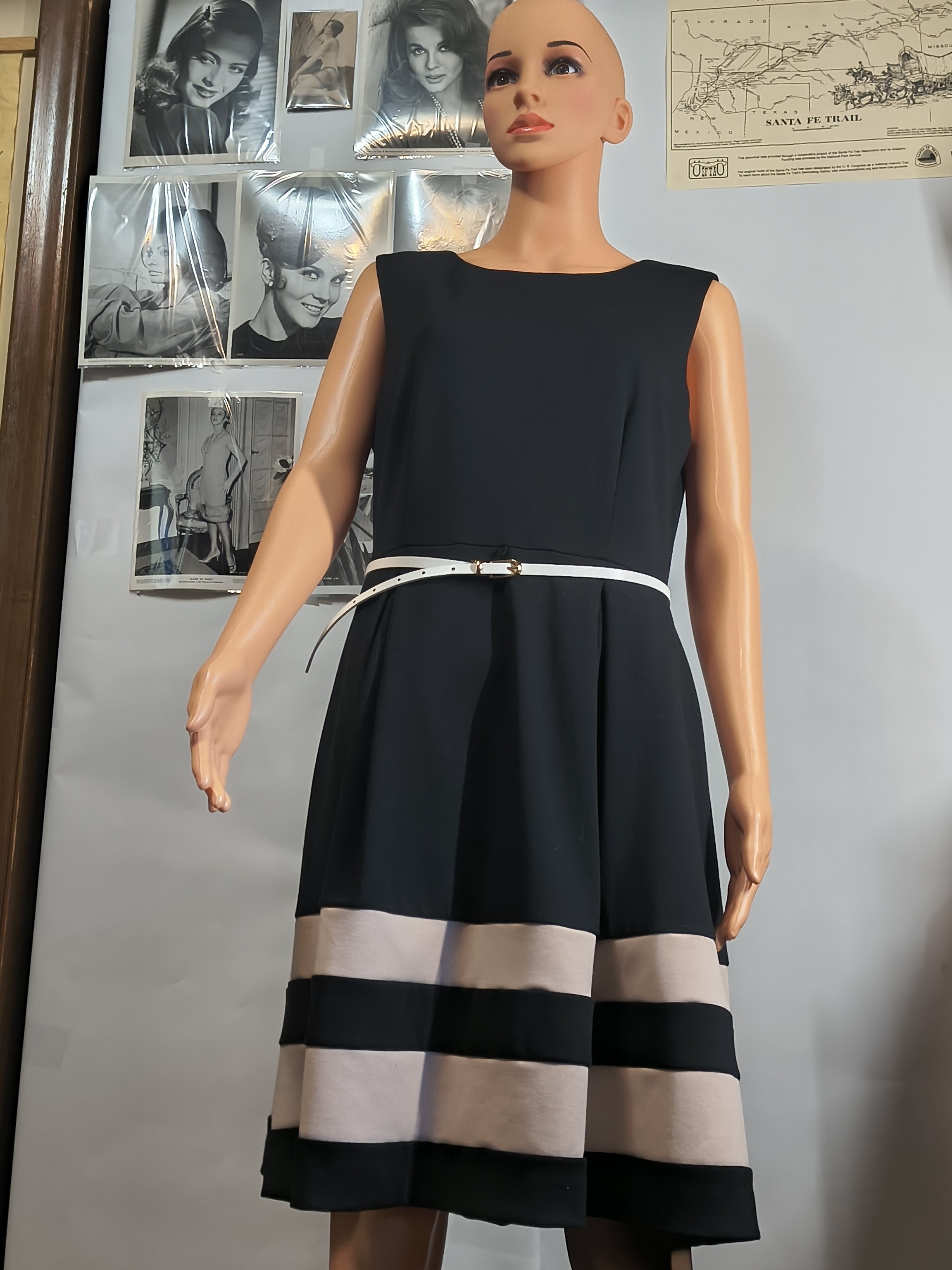 Calvin Klein Black Blush Stripe Skater Dress Women’s Size 10